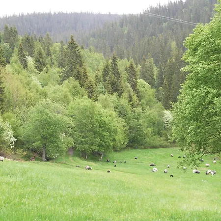 Bjorgan Gard Vannvikan